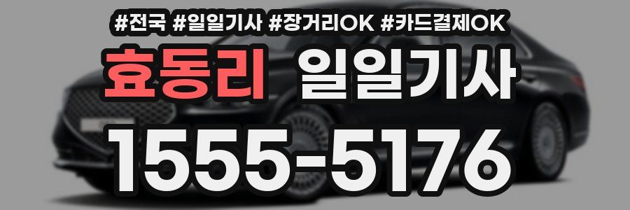 효동리 일일기사