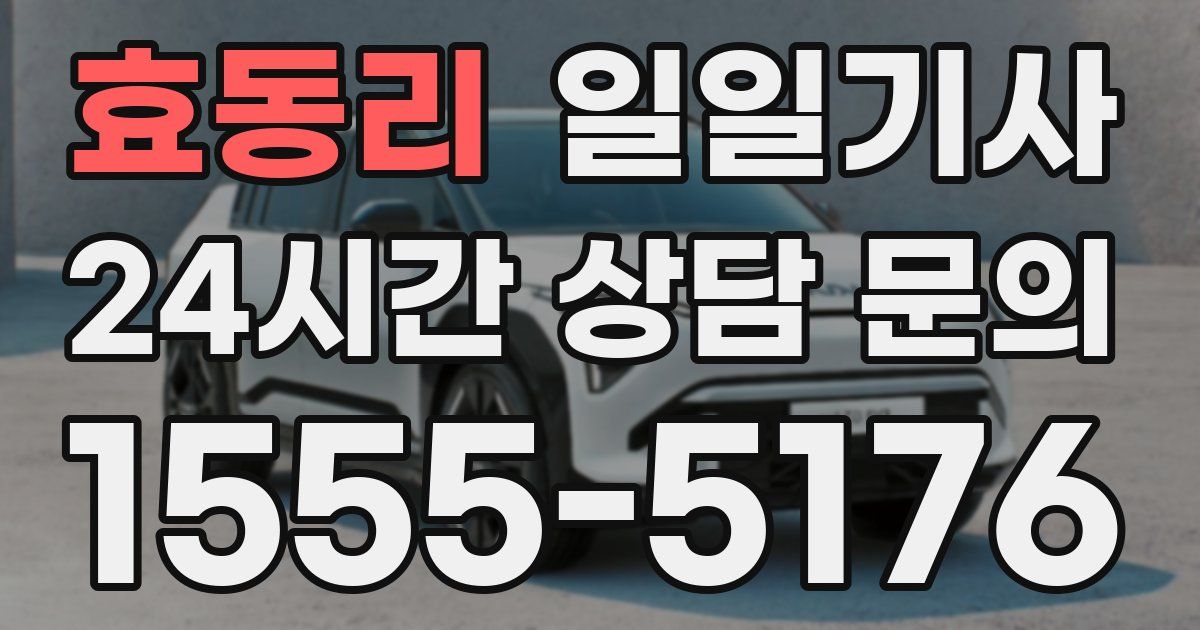 일일대리기사