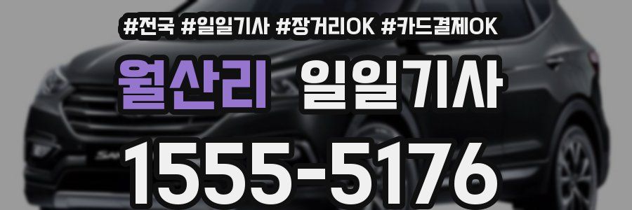 월산리 일일기사