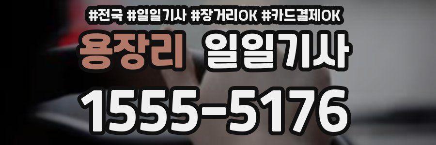 용장리 일일기사