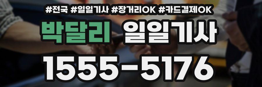 박달리 일일기사