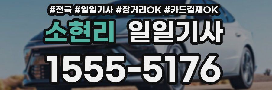 소현리 일일기사