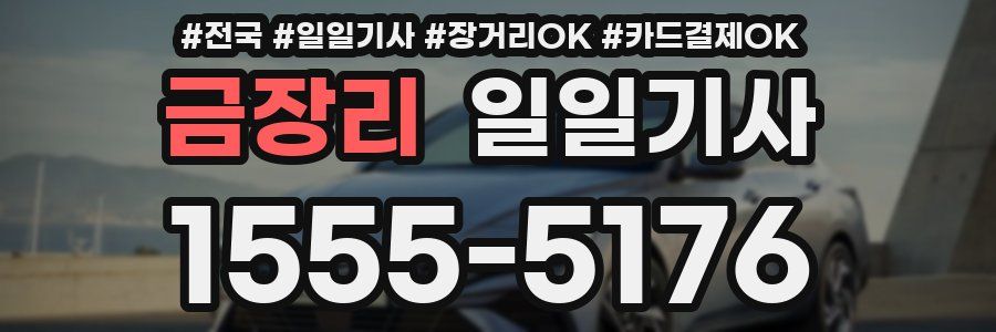 금장리 일일기사