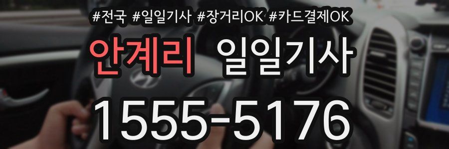 안계리 일일기사