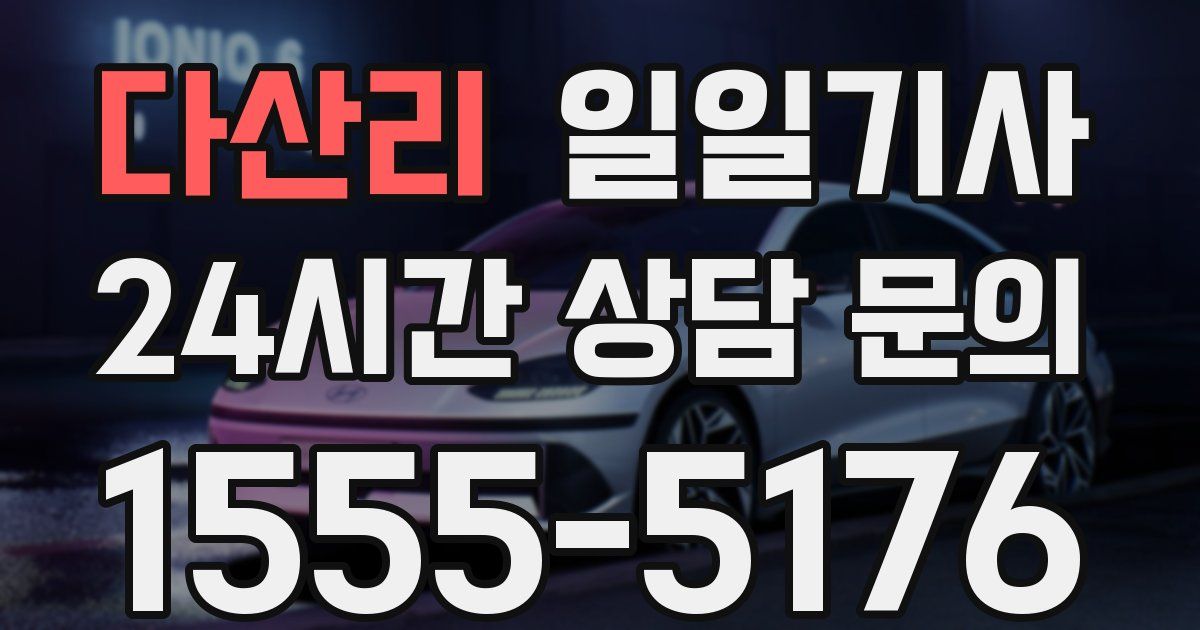 일일대리기사