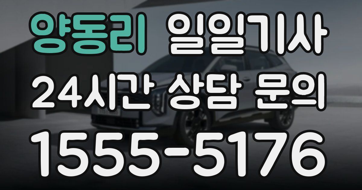 일일대리기사