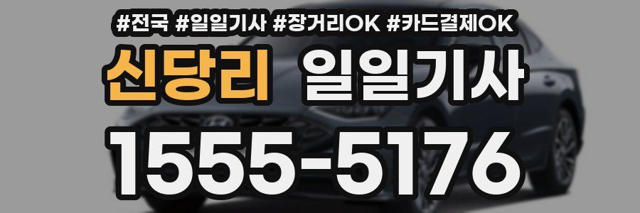 신당리 일일기사