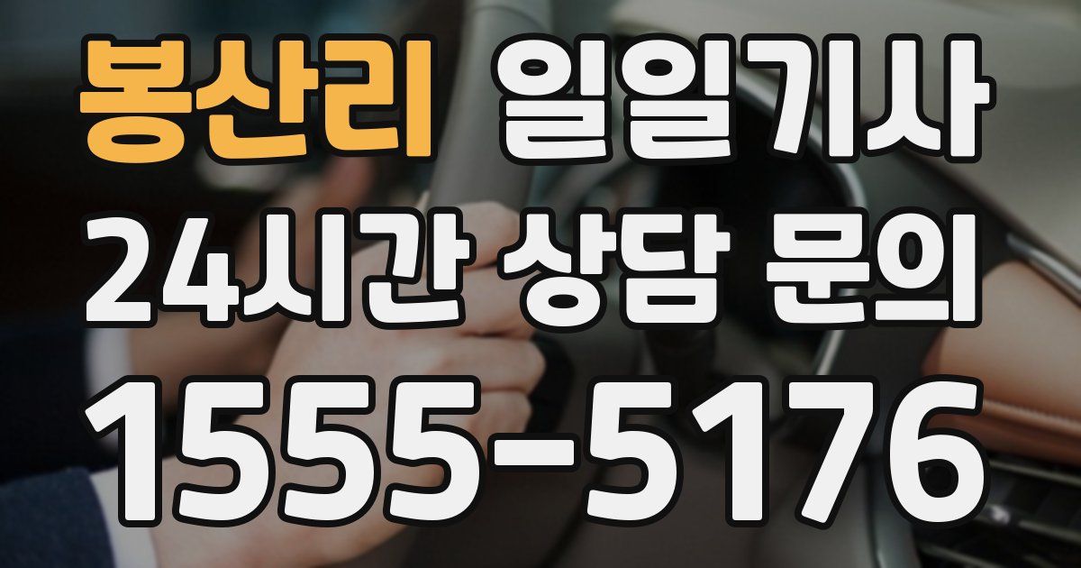 일일대리기사