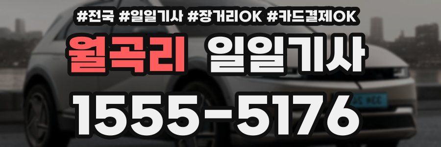 월곡리 일일기사