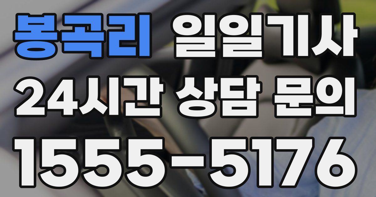 일일대리기사