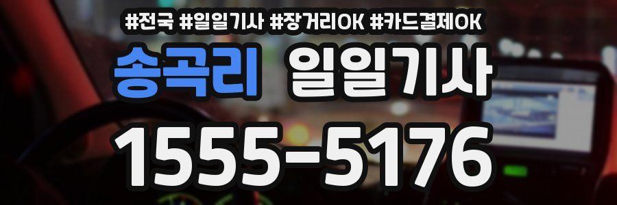 송곡리 일일기사