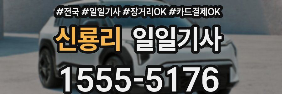 신룡리 일일기사