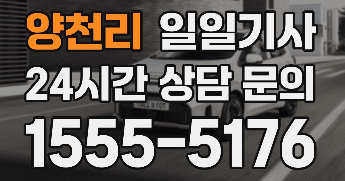 일일대리기사