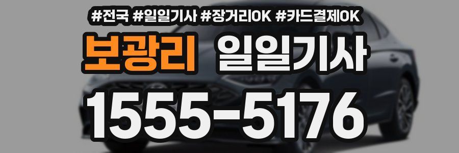 보광리 일일기사