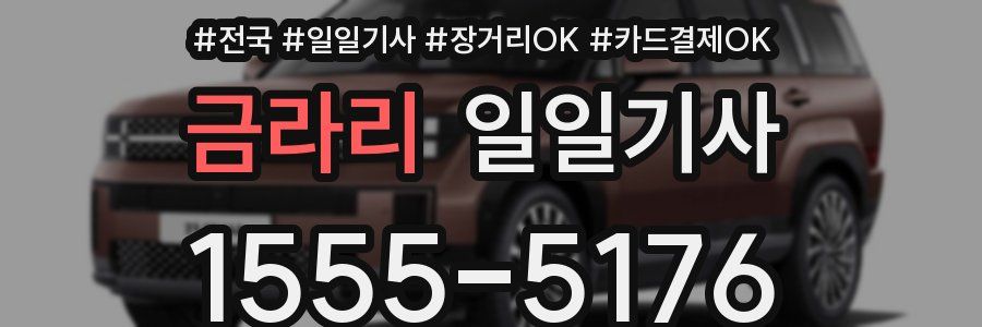 금라리 일일기사