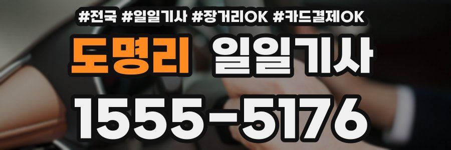 도명리 일일기사