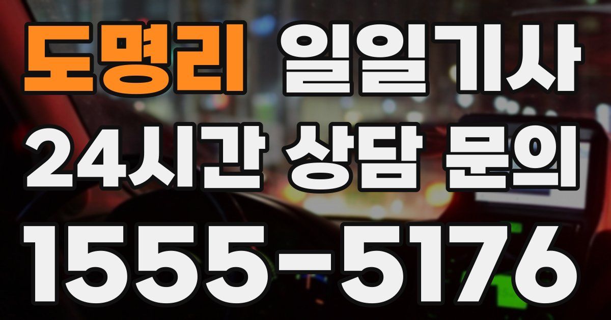일일대리기사