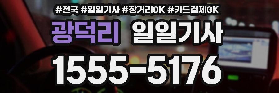 광덕리 일일기사