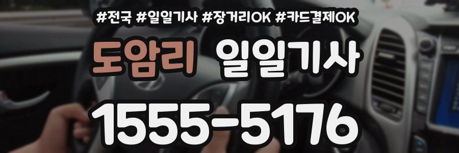 도암리 일일기사