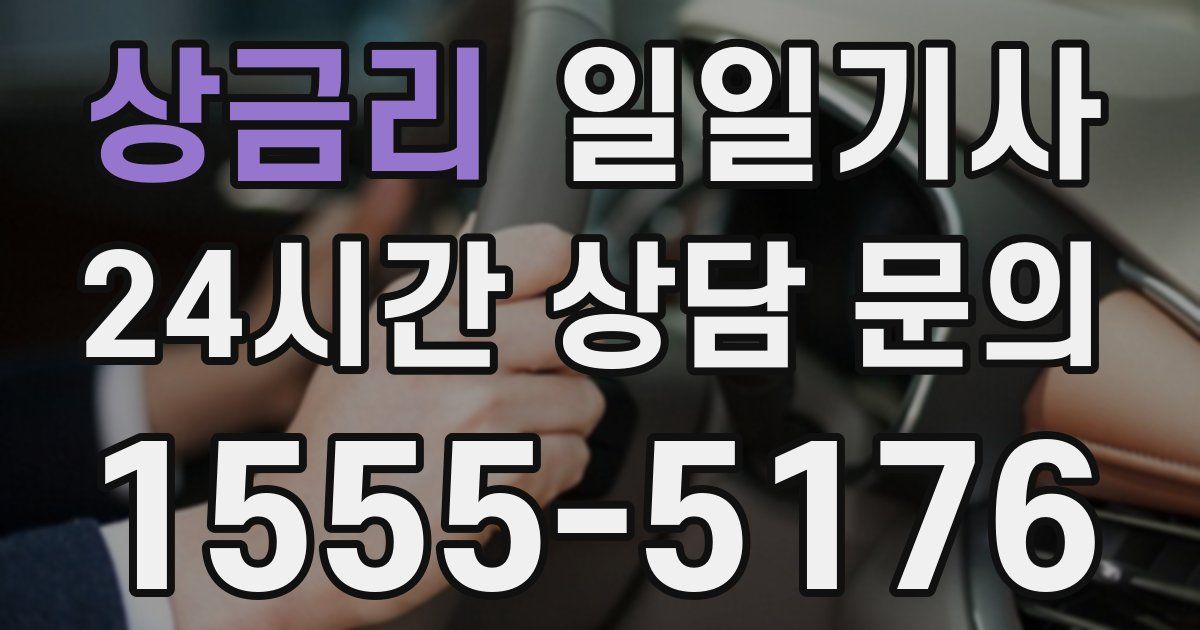 일일대리기사