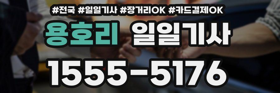 용호리 일일기사