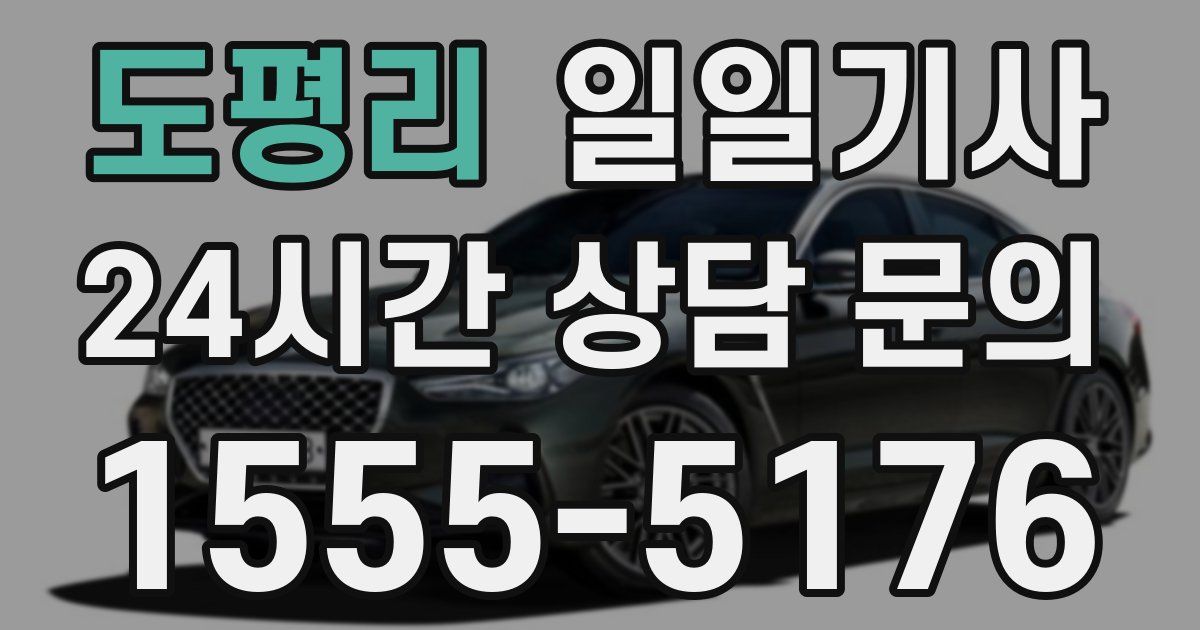일일대리기사