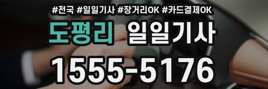 도평리 일일기사