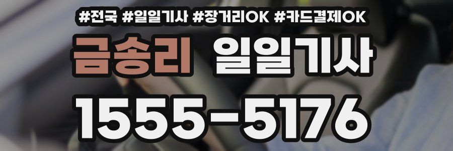 금송리 일일기사