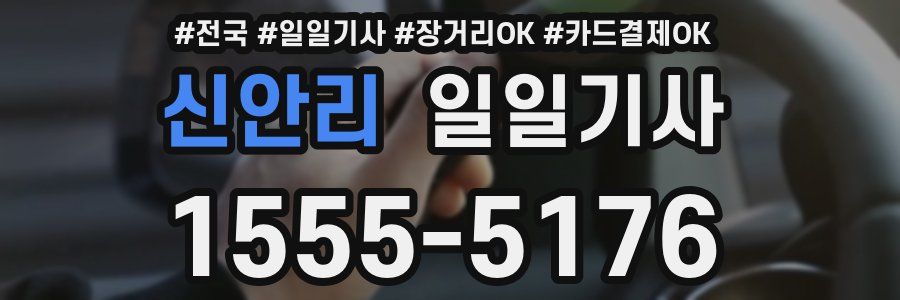 신안리 일일기사