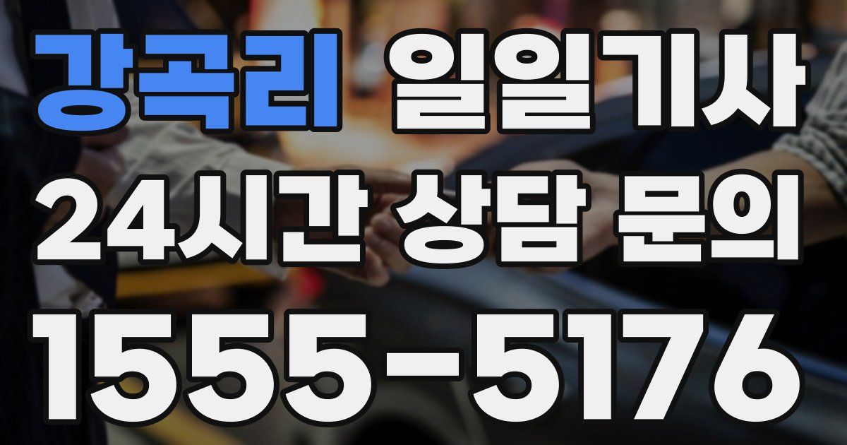 일일대리기사