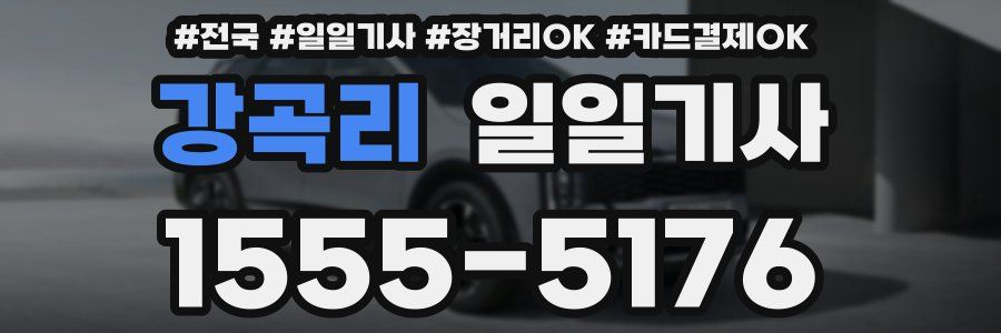 강곡리 일일기사