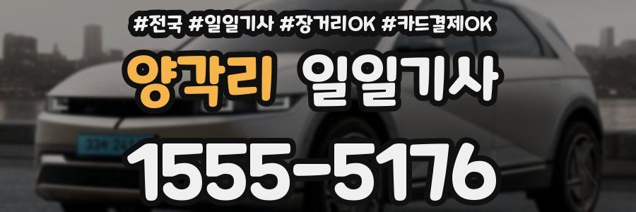 양각리 일일기사