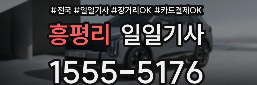 흥평리 일일기사