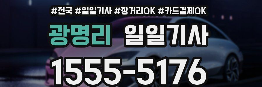 광명리 일일기사