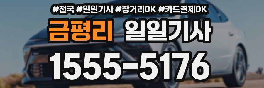 금평리 일일기사