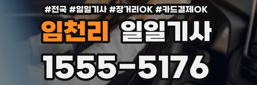 임천리 일일기사