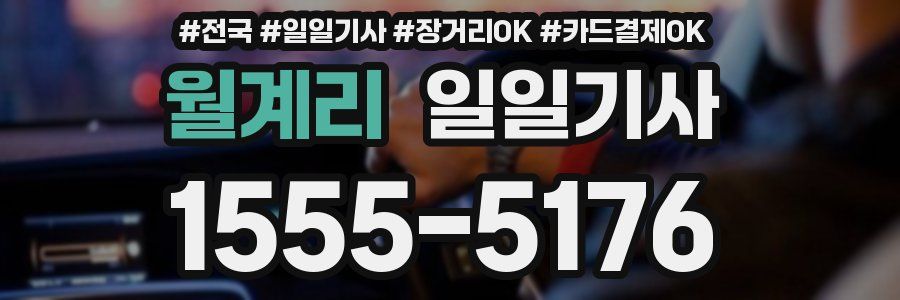 월계리 일일기사