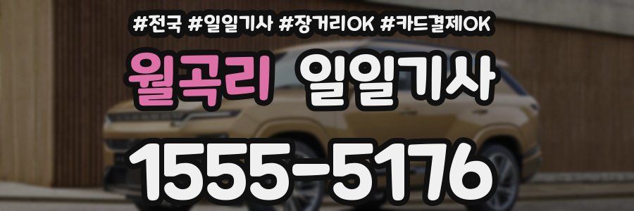 월곡리 일일기사