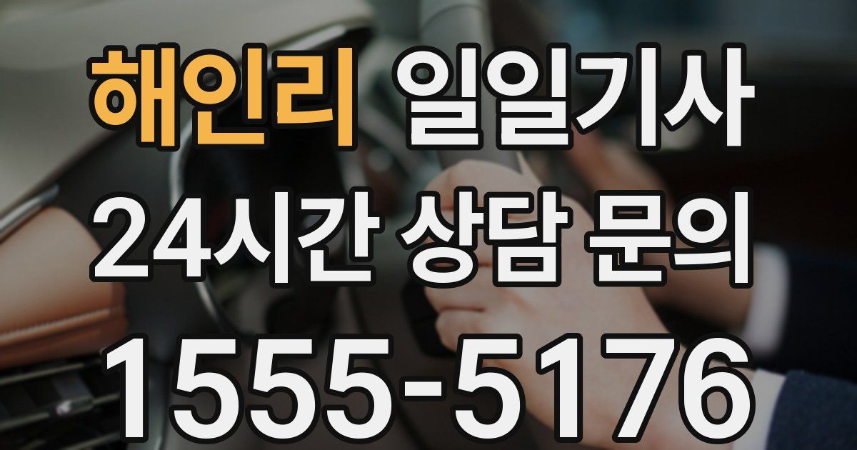 일일대리기사