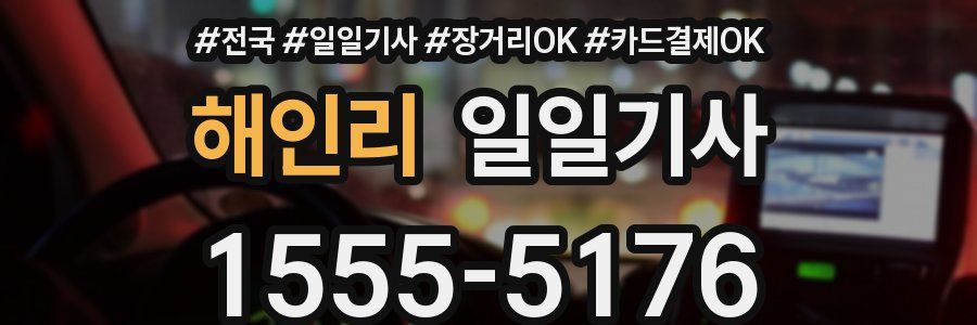 해인리 일일기사