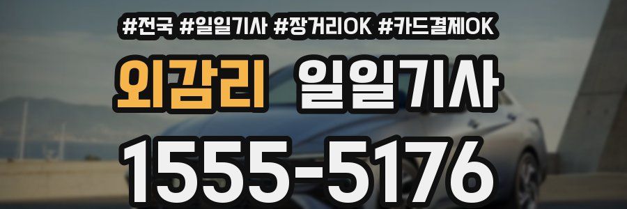 외감리 일일기사