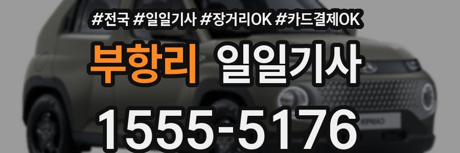 부항리 일일기사