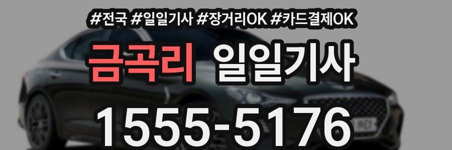 금곡리 일일기사