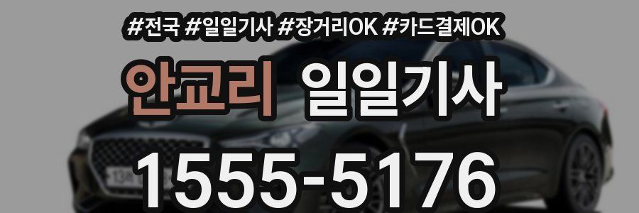 안교리 일일기사