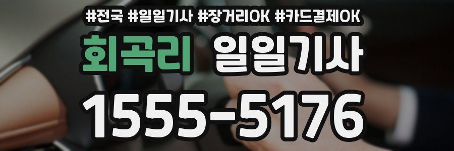 회곡리 일일기사