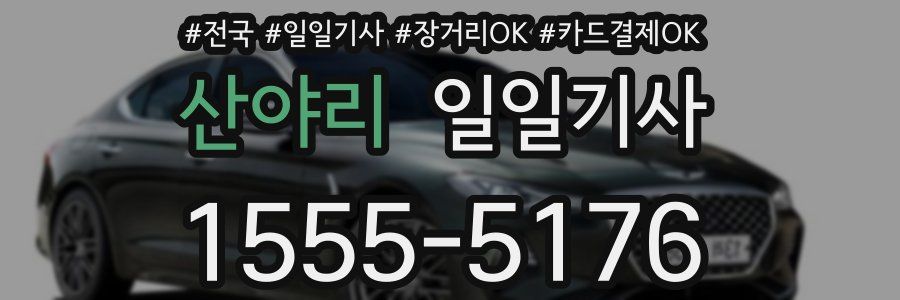 산야리 일일기사