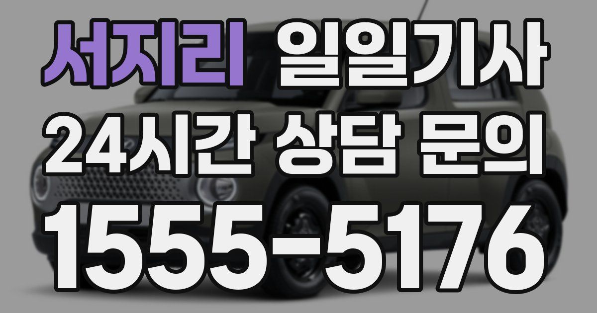 일일대리기사