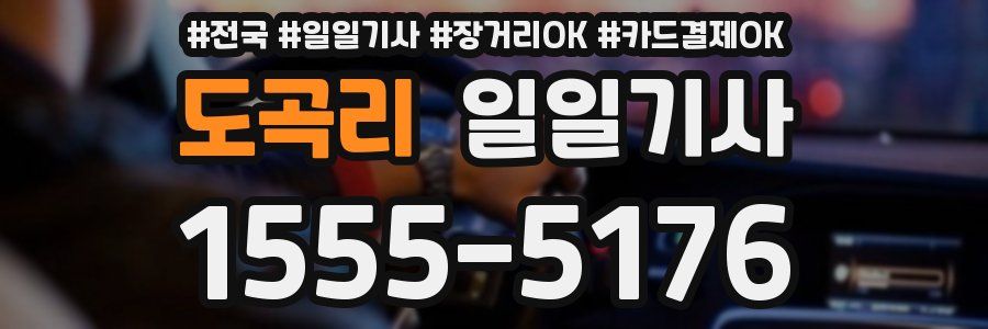 도곡리 일일기사