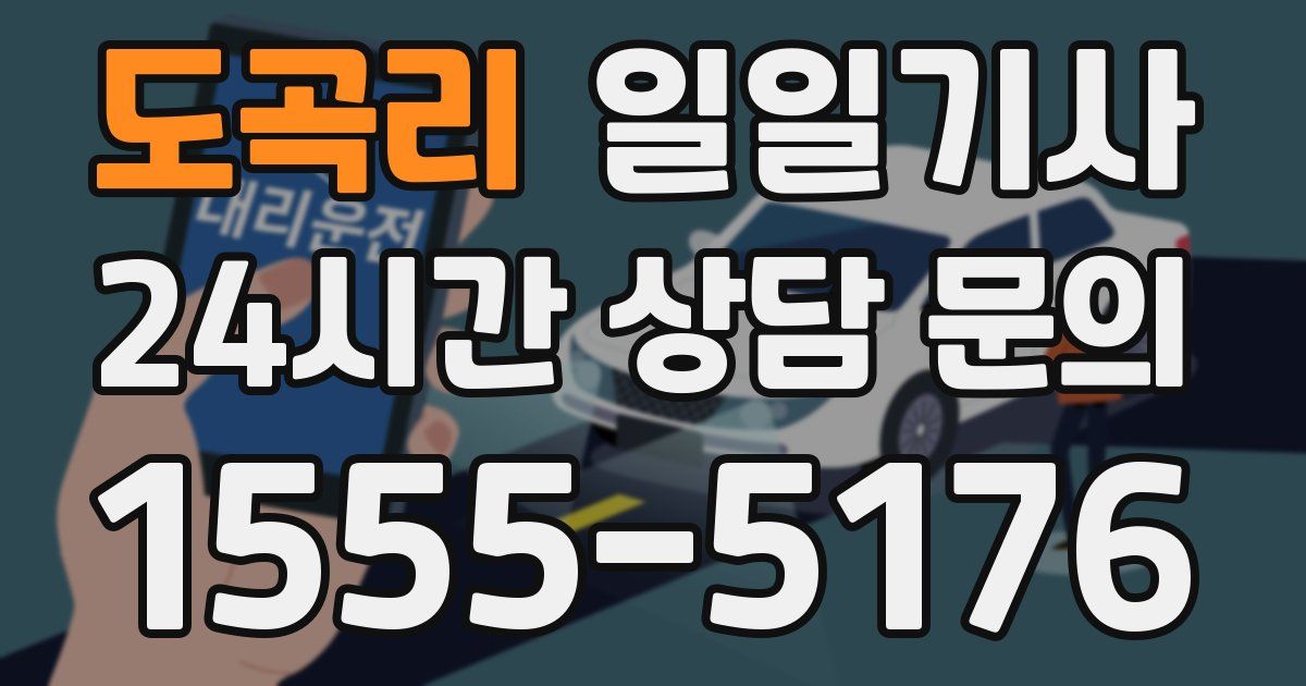 일일대리기사