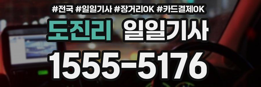 도진리 일일기사